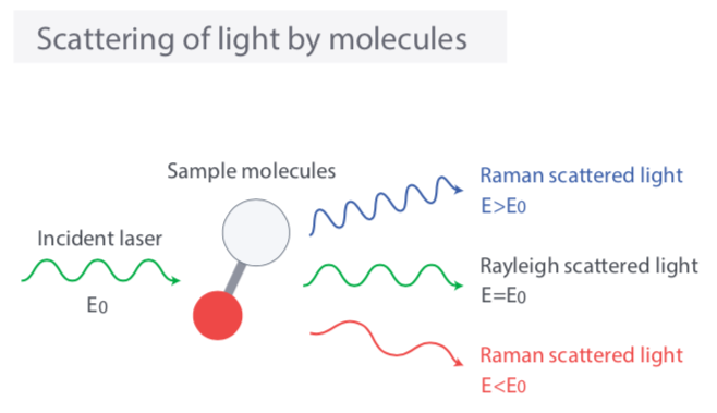 پراکنده شدن نور توسط طیف سنج رامان